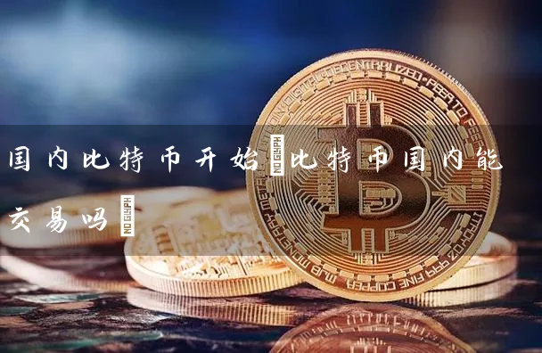国内比特币开始(比特币国内能交易吗)