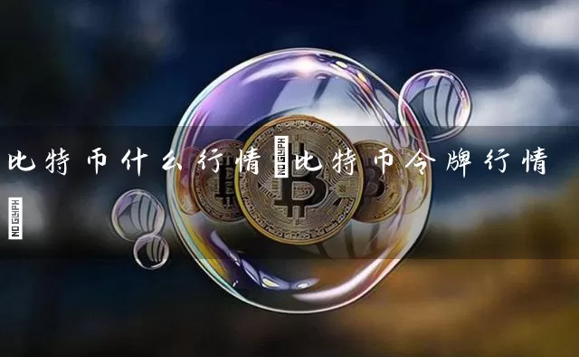 比特币什么行情(比特币令牌行情)