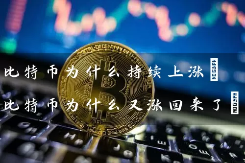 比特币为什么持续上涨(比特币为什么又涨回来了)