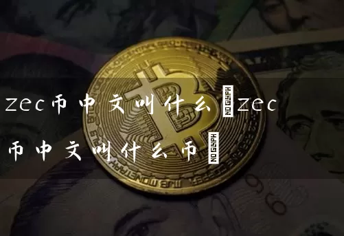 zec币中文叫什么(zec币中文叫什么币)