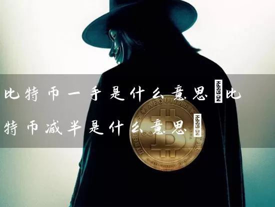 比特币一手是什么意思(比特币减半是什么意思)