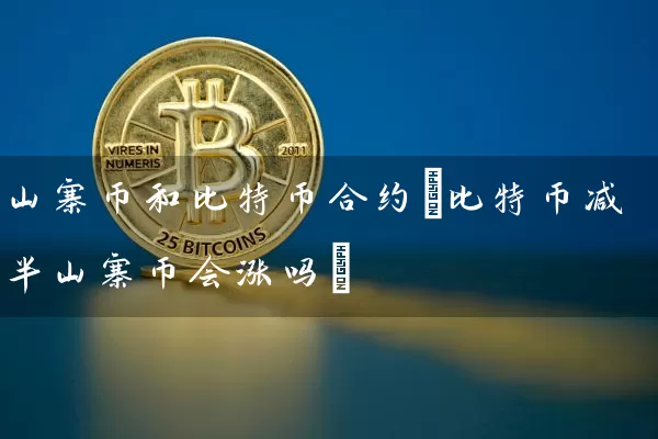 山寨币和比特币合约(比特币减半山寨币会涨吗)