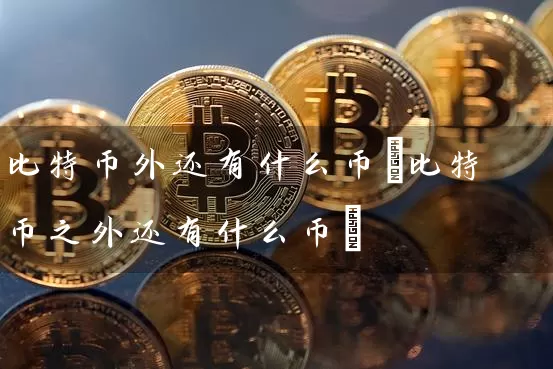 比特币外还有什么币(比特币之外还有什么币)