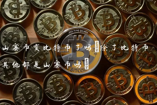 山寨币变比特币了吗(除了比特币其他都是山寨币吗)