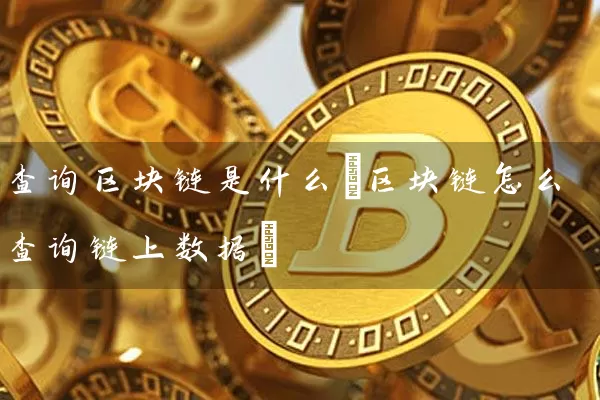 查询区块链是什么(区块链怎么查询链上数据)