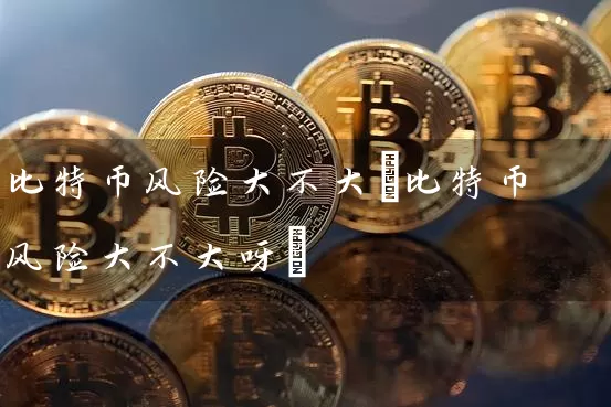 比特币风险大不大(比特币风险大不大呀)