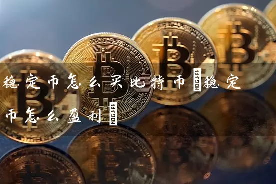 稳定币怎么买比特币(稳定币怎么盈利)