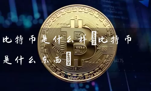 比特币是什么样(比特币是什么东西)
