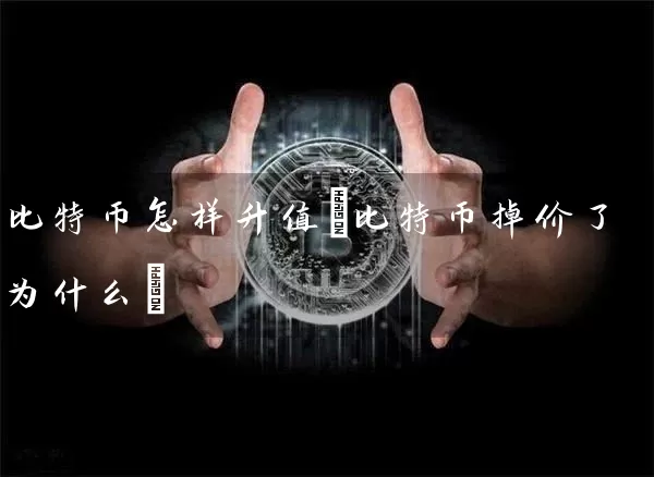 比特币怎样升值(比特币掉价了为什么)