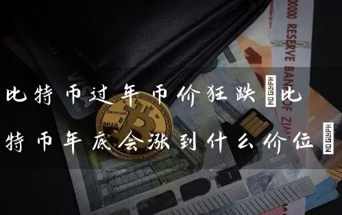 比特币过年币价狂跌(比特币年底会涨到什么价位)