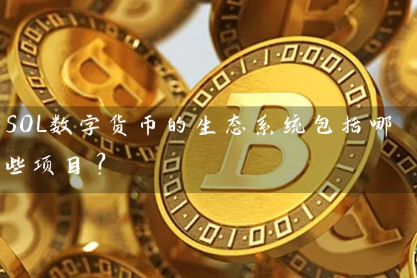 SOL数字货币的生态系统包括哪些项目？