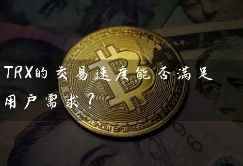 TRX的交易速度能否满足用户需求？