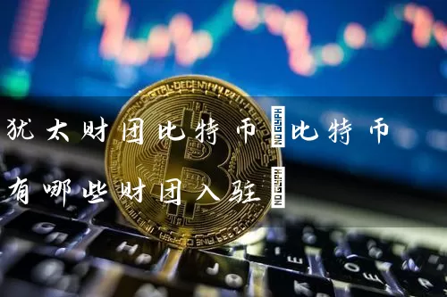 犹太财团比特币(比特币有哪些财团入驻)
