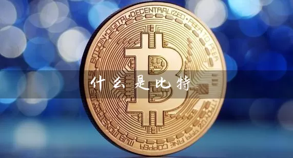 什么是比特