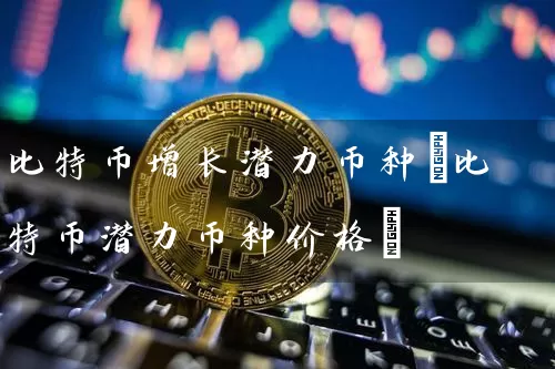 比特币增长潜力币种(比特币潜力币种价格)