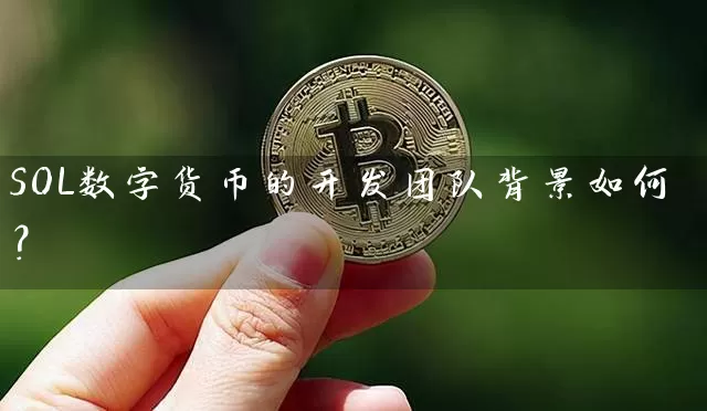 SOL数字货币的开发团队背景如何？