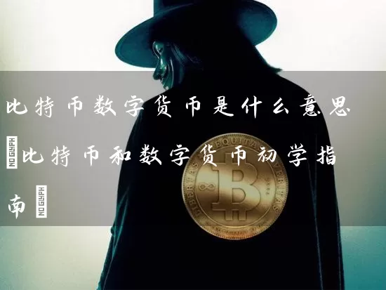 比特币数字货币是什么意思(比特币和数字货币初学指南)