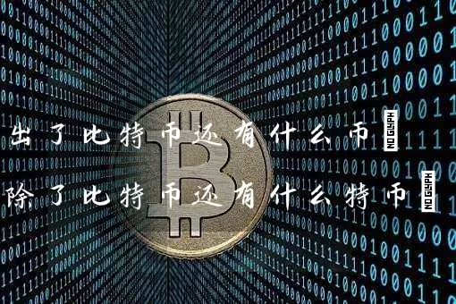 出了比特币还有什么币(除了比特币还有什么特币)
