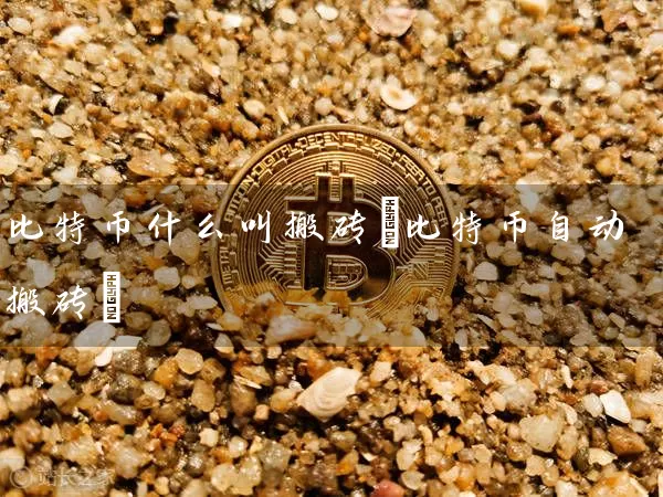 比特币什么叫搬砖(比特币自动搬砖)