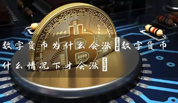 数字货币为什么会涨(数字货币什么情况下才会涨)