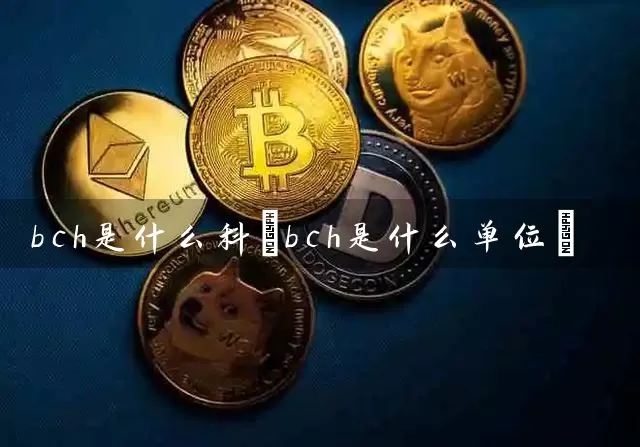 bch是什么科(bch是什么单位)
