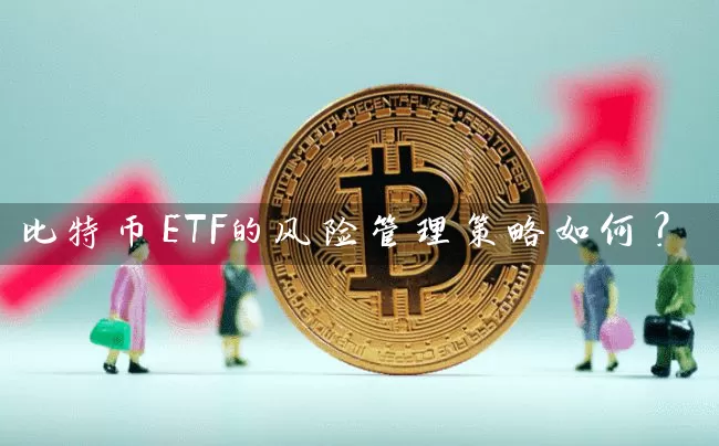 比特币ETF的风险管理策略如何？