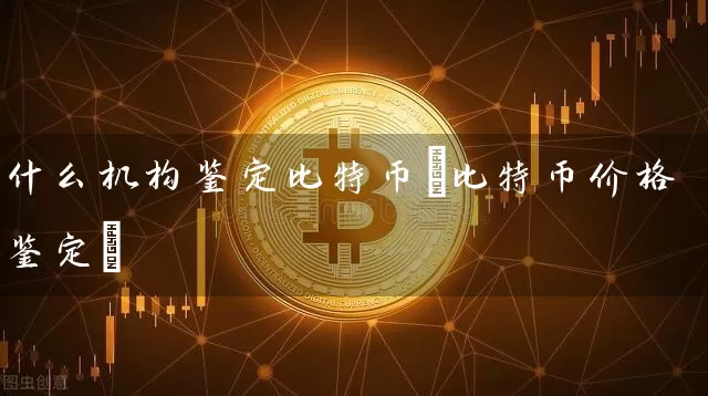 什么机构鉴定比特币(比特币价格鉴定)