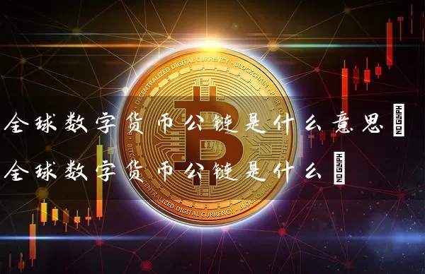 全球数字货币公链是什么意思(全球数字货币公链是什么)