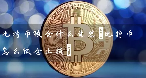 比特币锁仓什么意思(比特币怎么锁仓止损)