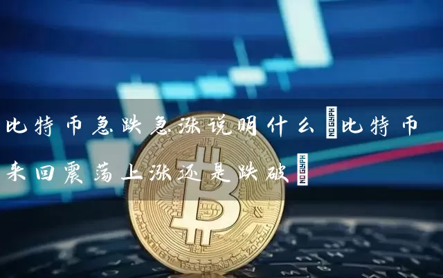 比特币急跌急涨说明什么(比特币来回震荡上涨还是跌破)