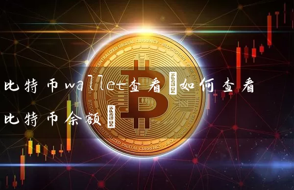 比特币wallet查看(如何查看比特币余额)