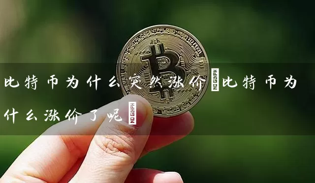 比特币为什么突然涨价(比特币为什么涨价了呢)