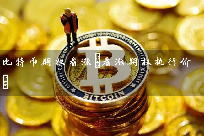 比特币期权看涨(看涨期权执行价)