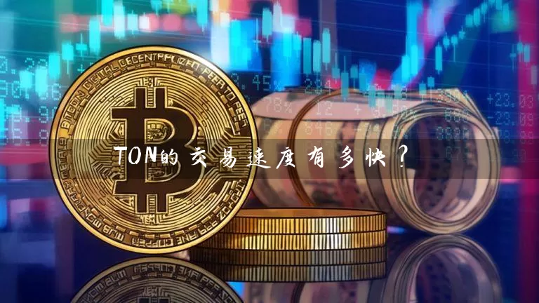 TON的交易速度有多快？