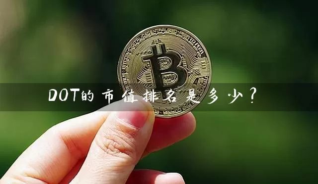 DOT的市值排名是多少？