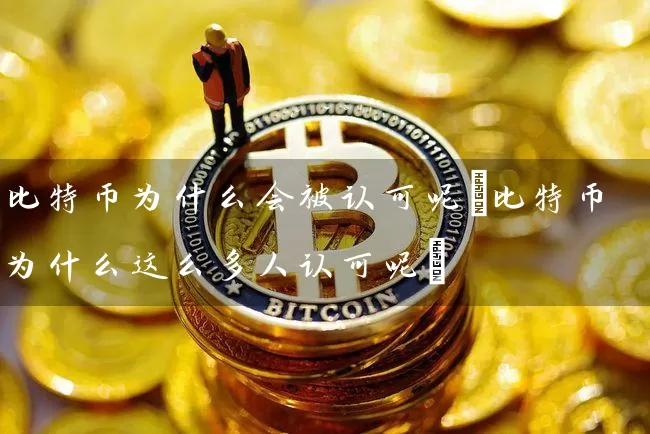 比特币为什么会被认可呢(比特币为什么这么多人认可呢)