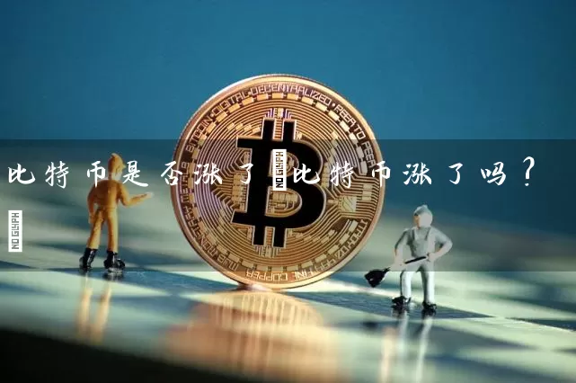 比特币是否涨了(比特币涨了吗?)