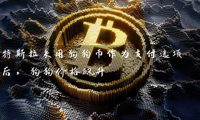 特斯拉采用狗狗币作为支付选项后，狗狗价格飙升
