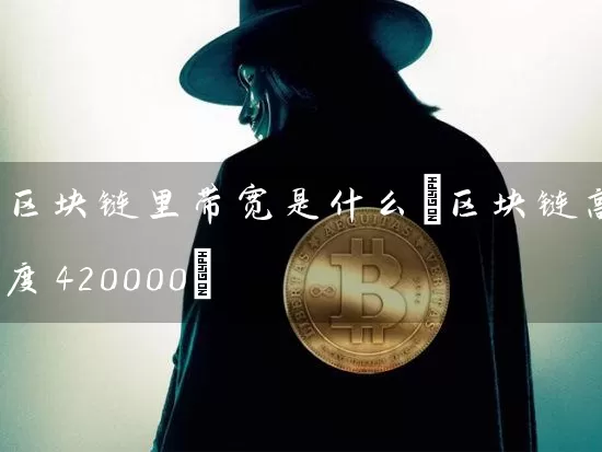 区块链里带宽是什么(区块链高度420000)