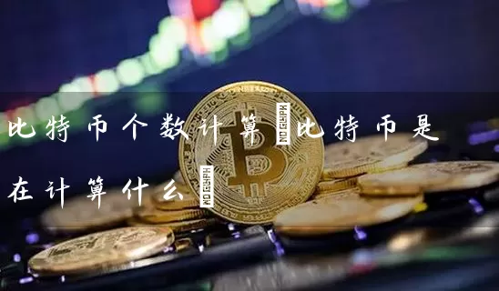 比特币个数计算(比特币是在计算什么)