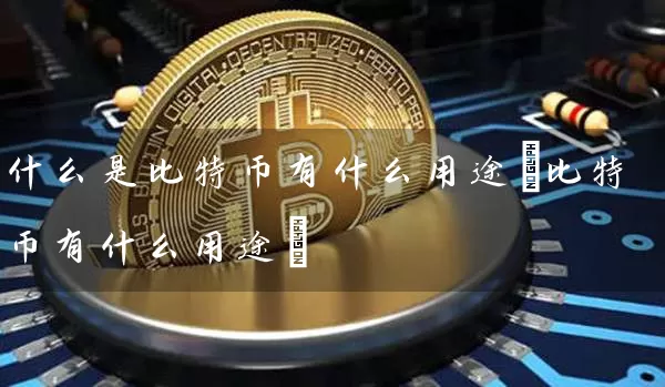 什么是比特币有什么用途(比特币有什么用途)