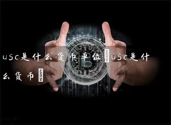 usc是什么货币单位(usc是什么货币)