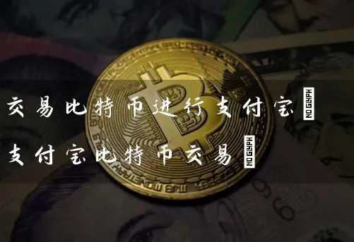 交易比特币进行支付宝(支付宝比特币交易)