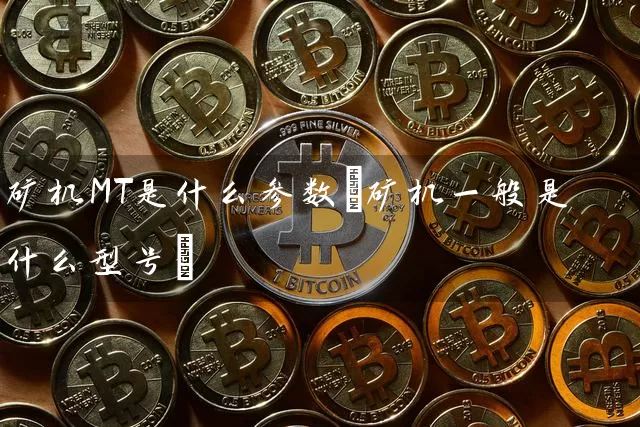 矿机MT是什么参数(矿机一般是什么型号)