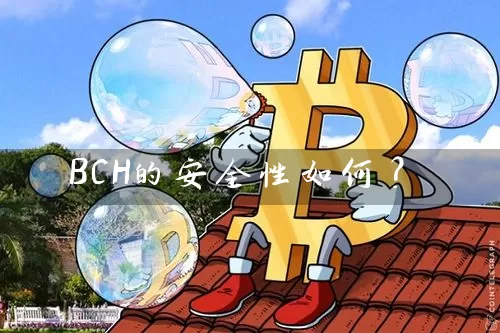 BCH的安全性如何？