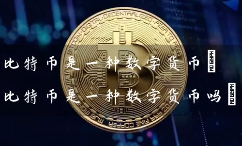 比特币是一种数字货币(比特币是一种数字货币吗)