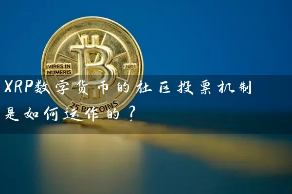 XRP数字货币的社区投票机制是如何运作的？