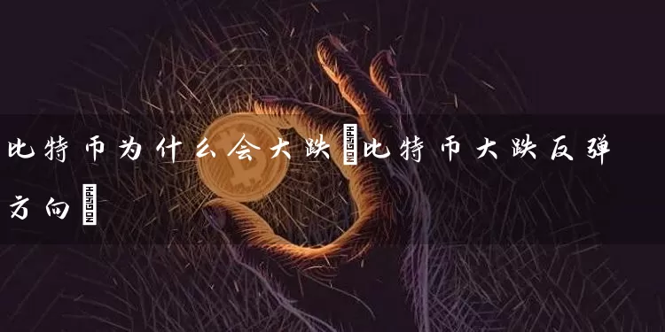 比特币为什么会大跌(比特币大跌反弹方向)