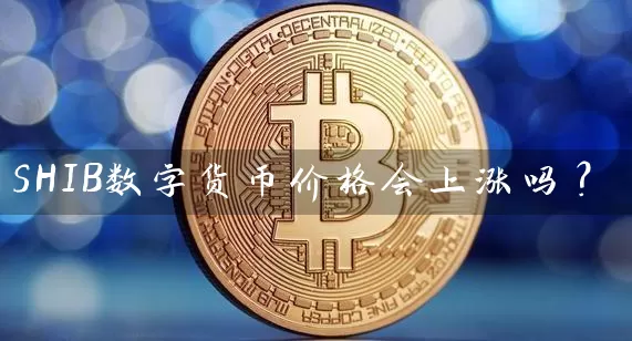 SHIB数字货币价格会上涨吗？