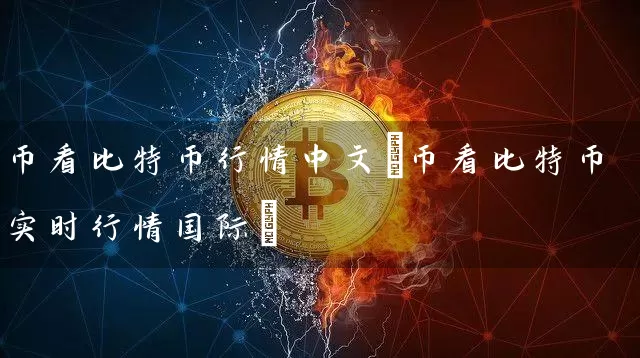 币看比特币行情中文(币看比特币实时行情国际)